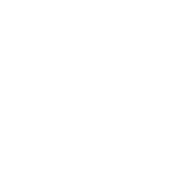 INDUSTRIAL MOTORS