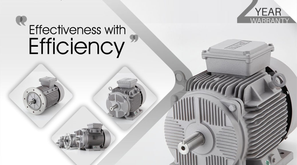 Energy efficient induction motor